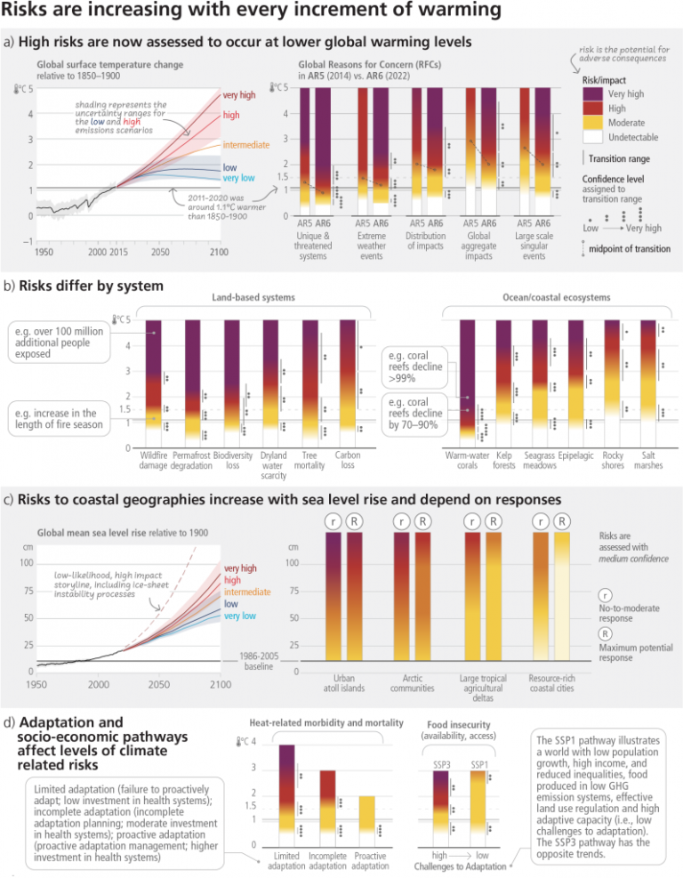 Come tradurre figure e grafici in un documento di ricerca scientifica?