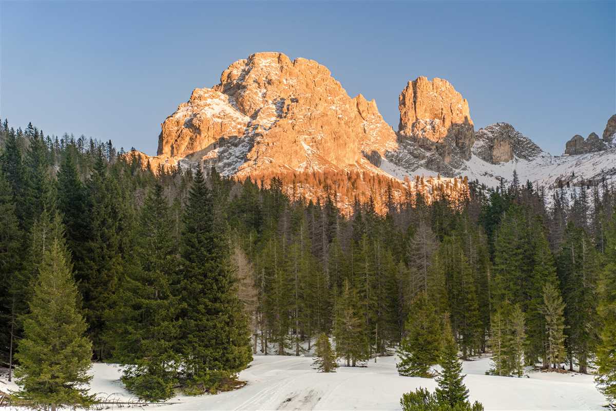 Difficoltà comuni nella traduzione legale