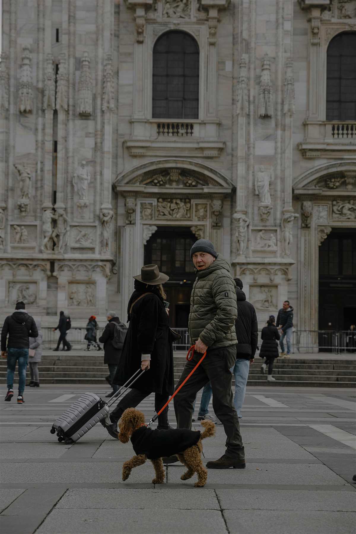 Ruolo degli esperti nella traduzione legale